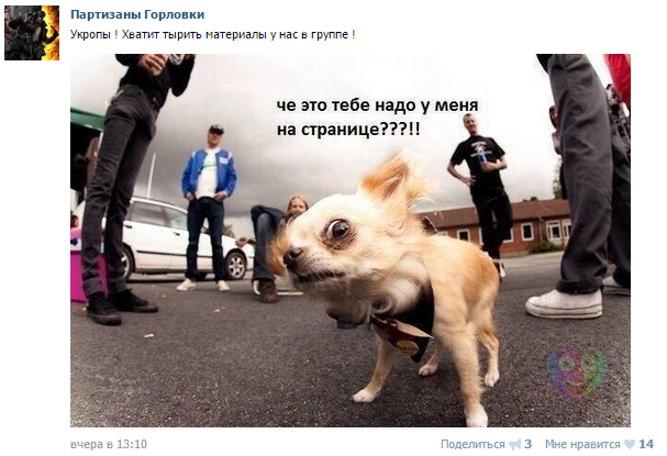 partizany gorlovki
