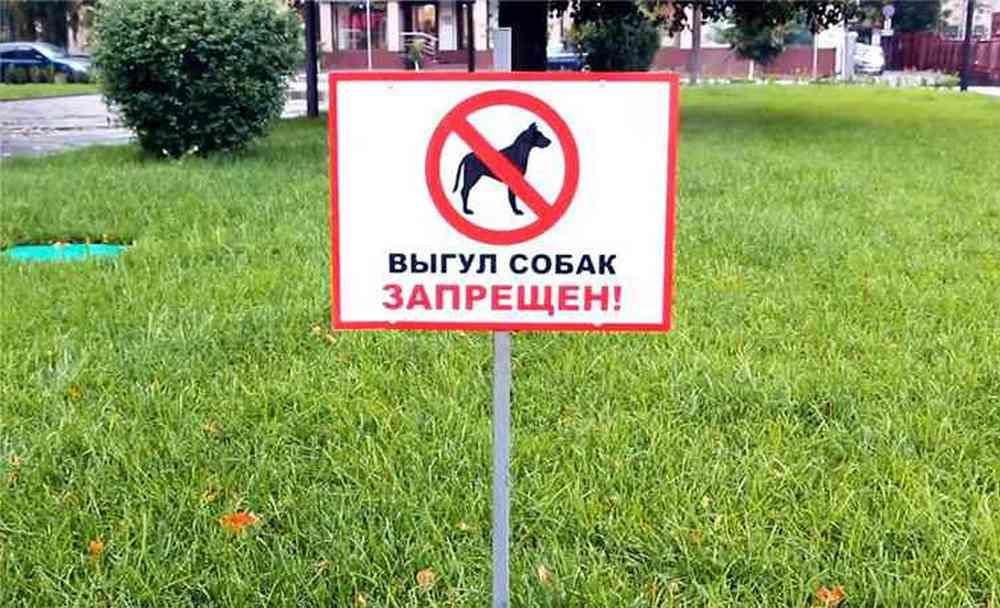 Запрет на выгул животных
