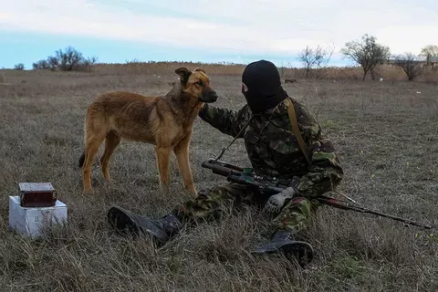 Собака