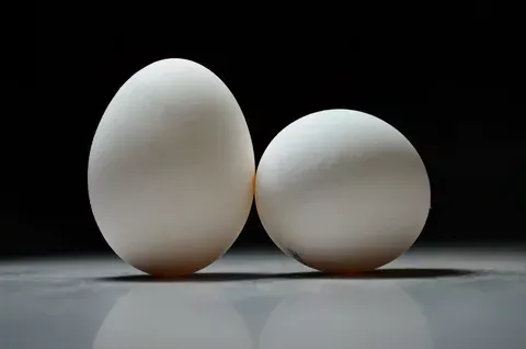 Яйца