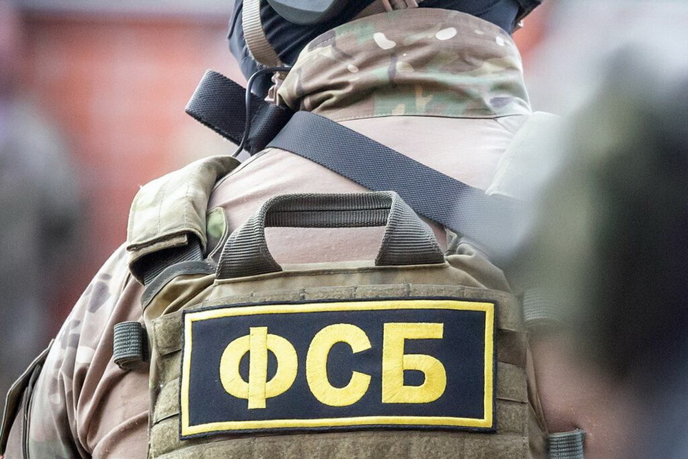 Фото: задержание жителя ДНР за Госизмену/скриншот видео