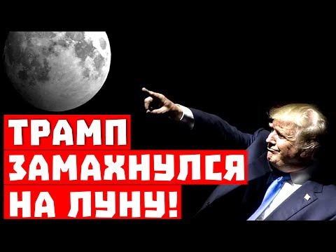 Трамп Трамп