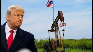 Трамп Трамп