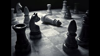 Шахматы Шахматы