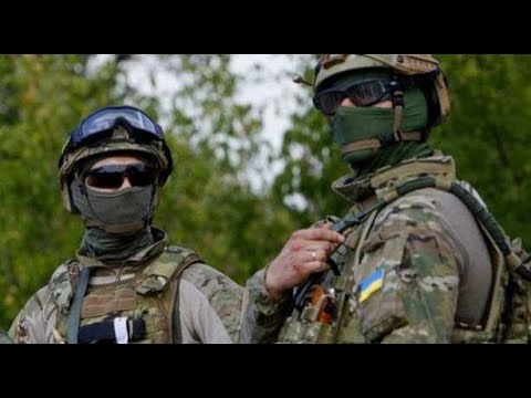 Донбасс Донбасс