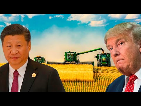 Трамп Трамп