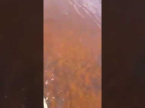 Норильск Норильск