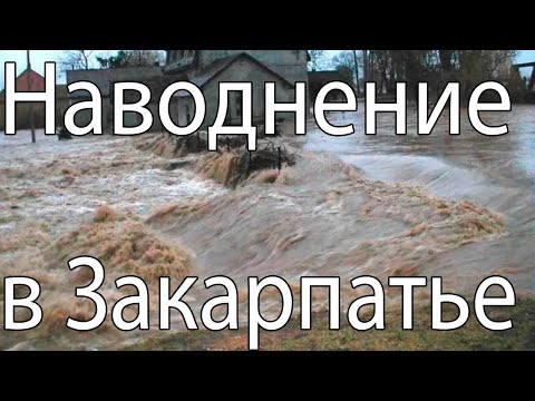 Николай Азаров