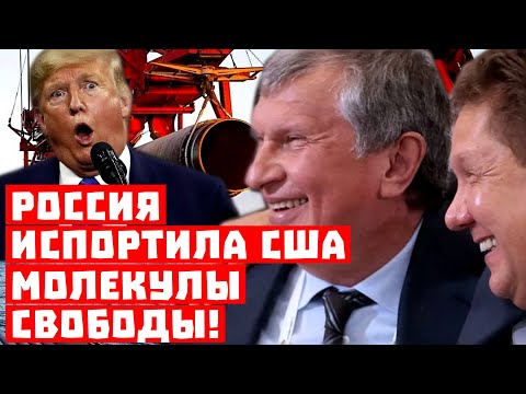 Трамп Трамп