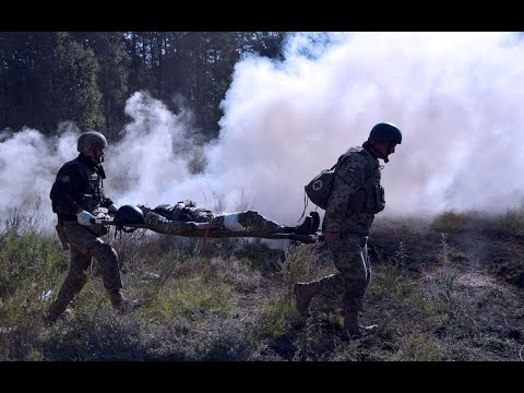 ДРГ под Зайцево ДРГ под Зайцево