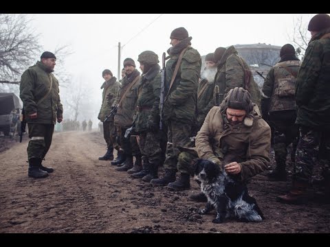 Донбасс Донбасс