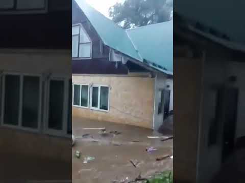 прорыв дамбы прорыв дамбы