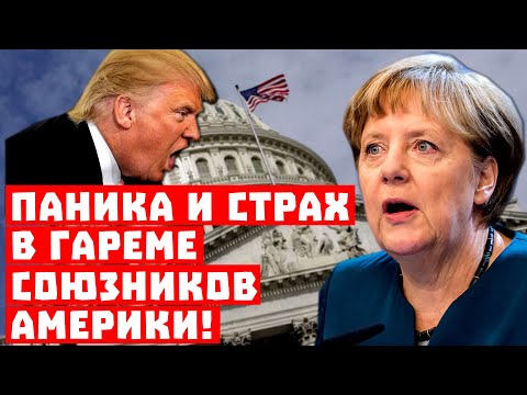 Трамп Трамп
