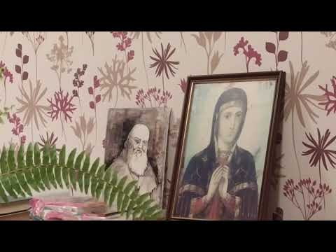Донбасс Донбасс