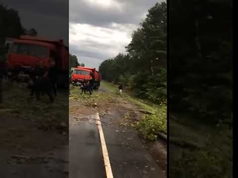 Россия Россия