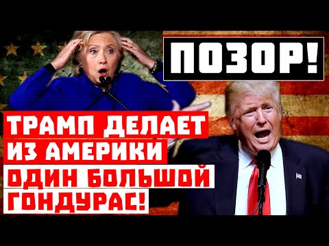 Трамп Трамп