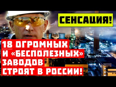 Путин Путин