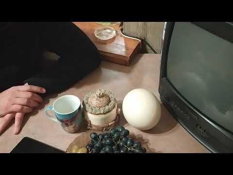 Житель Житель