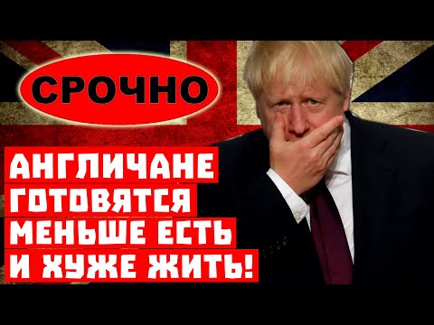 Путин Путин