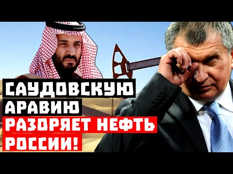 Шейхи Шейхи