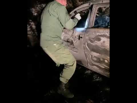 В Подмосковье В Подмосковье