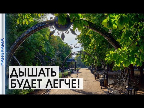 Деревья Деревья