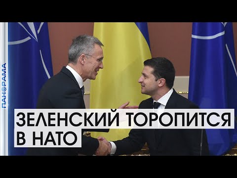 Владимир Зеленский и Генсек НАТО Владимир Зеленский и Генсек НАТО
