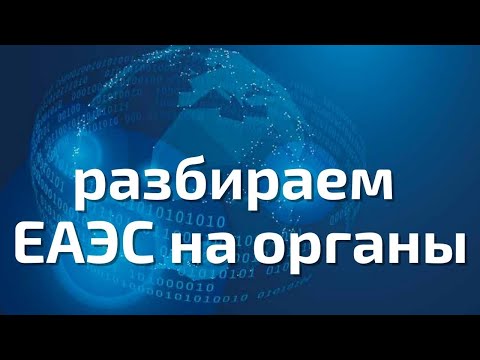 Разбиваем ЕАЭС на органы