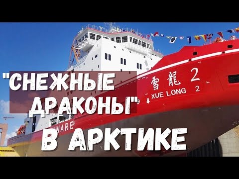 Снежные драконы Снежные драконы